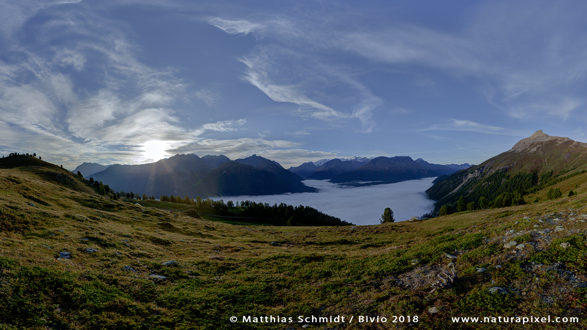 Alp Mutatsch